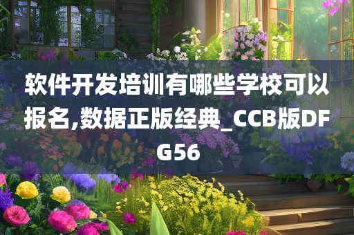 软件开发培训有哪些学校可以报名,数据正版经典_CCB版DFG56