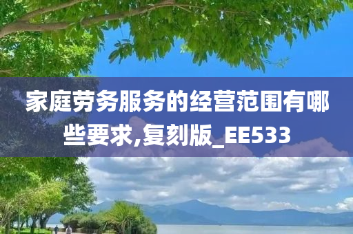 家庭劳务服务的经营范围有哪些要求,复刻版_EE533