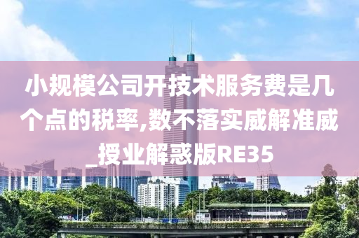 小规模公司开技术服务费是几个点的税率,数不落实威解准威_授业解惑版RE35