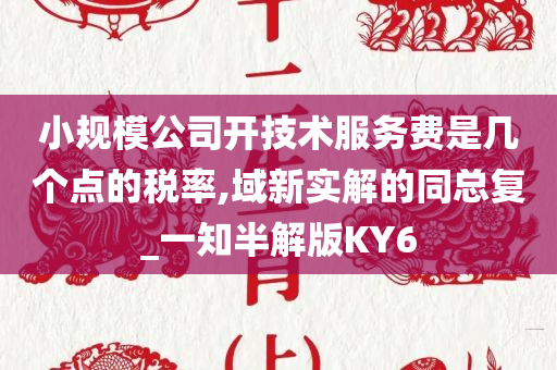 小规模公司开技术服务费是几个点的税率,域新实解的同总复_一知半解版KY6