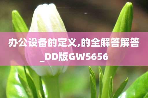 办公设备的定义,的全解答解答_DD版GW5656