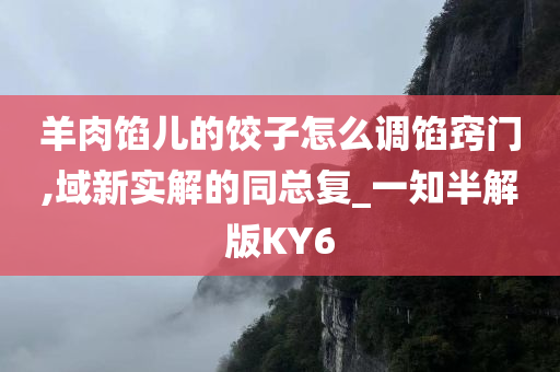 羊肉馅儿的饺子怎么调馅窍门,域新实解的同总复_一知半解版KY6