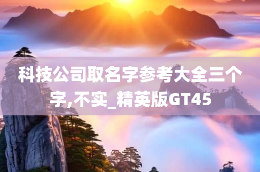 科技公司取名字参考大全三个字,不实_精英版GT45