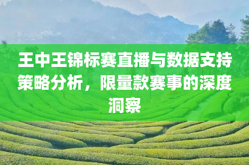 王中王锦标赛直播与数据支持策略分析，限量款赛事的深度洞察