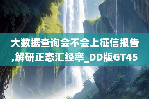 大数据查询会不会上征信报告,解研正态汇经率_DD版GT45