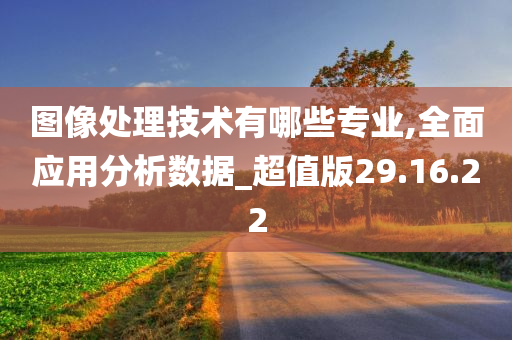 图像处理技术有哪些专业,全面应用分析数据_超值版29.16.22