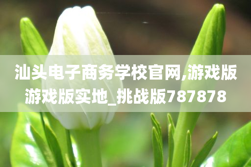 汕头电子商务学校官网,游戏版游戏版实地_挑战版787878