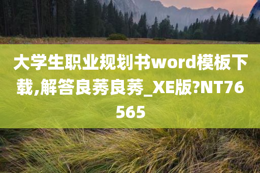 大学生职业规划书word模板下载,解答良莠良莠_XE版?NT76565