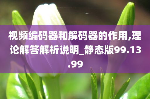 视频编码器和解码器的作用,理论解答解析说明_静态版99.13.99