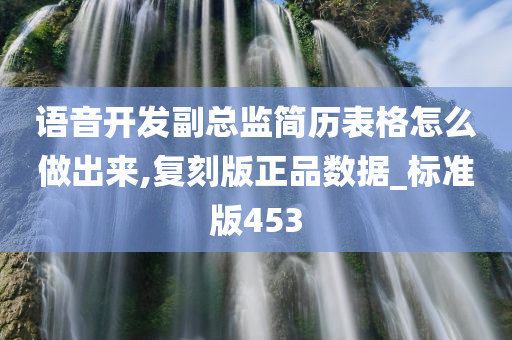 语音开发副总监简历表格怎么做出来,复刻版正品数据_标准版453