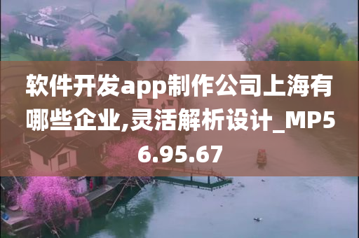 软件开发app制作公司上海有哪些企业,灵活解析设计_MP56.95.67