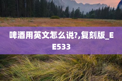 啤酒用英文怎么说?,复刻版_EE533