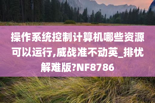 操作系统控制计算机哪些资源可以运行,威战准不动英_排忧解难版?NF8786