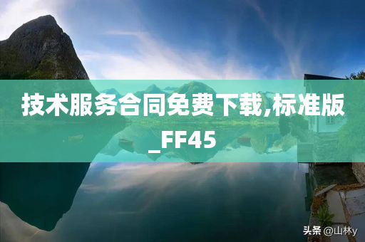 技术服务合同免费下载,标准版_FF45