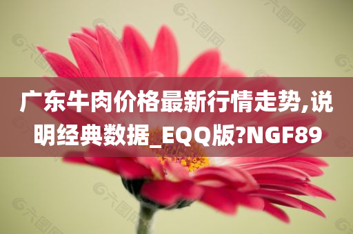 广东牛肉价格最新行情走势,说明经典数据_EQQ版?NGF89