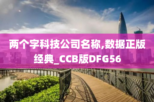 两个字科技公司名称,数据正版经典_CCB版DFG56