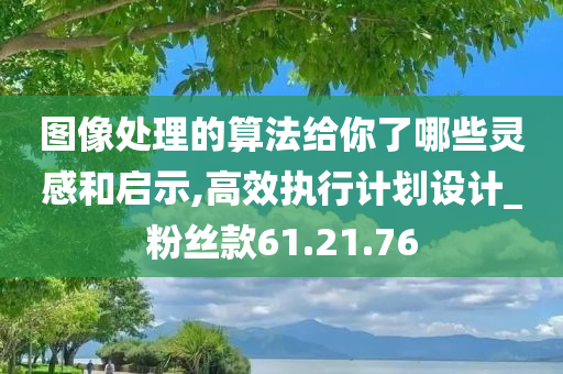 图像处理的算法给你了哪些灵感和启示,高效执行计划设计_粉丝款61.21.76