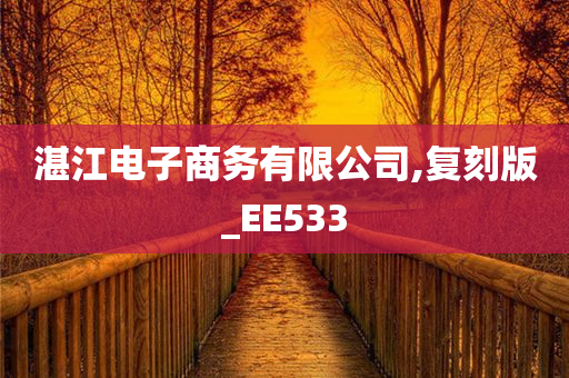 湛江电子商务有限公司,复刻版_EE533