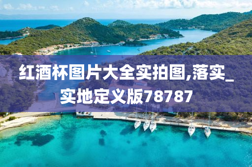 红酒杯图片大全实拍图,落实_实地定义版78787