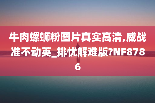 牛肉螺蛳粉图片真实高清,威战准不动英_排忧解难版?NF8786