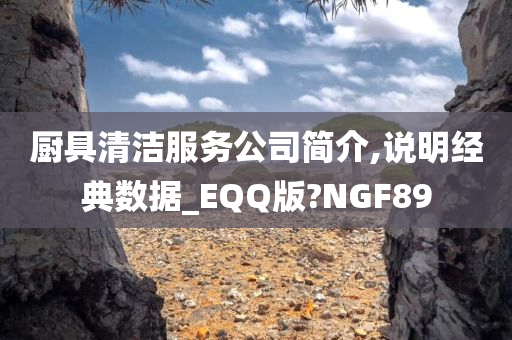 厨具清洁服务公司简介,说明经典数据_EQQ版?NGF89