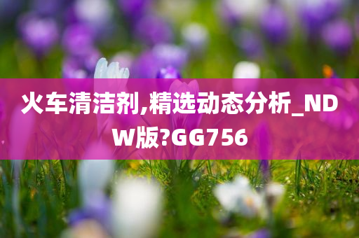 火车清洁剂,精选动态分析_NDW版?GG756