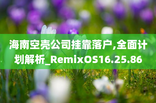 海南空壳公司挂靠落户,全面计划解析_RemixOS16.25.86