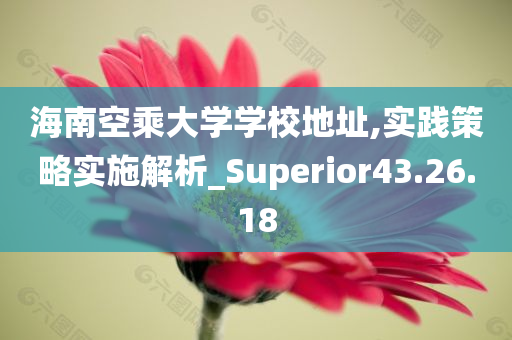 海南空乘大学学校地址,实践策略实施解析_Superior43.26.18