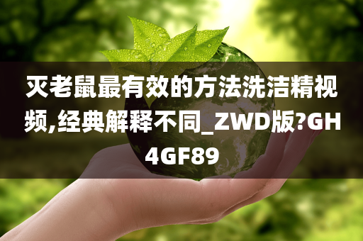 灭老鼠最有效的方法洗洁精视频,经典解释不同_ZWD版?GH4GF89