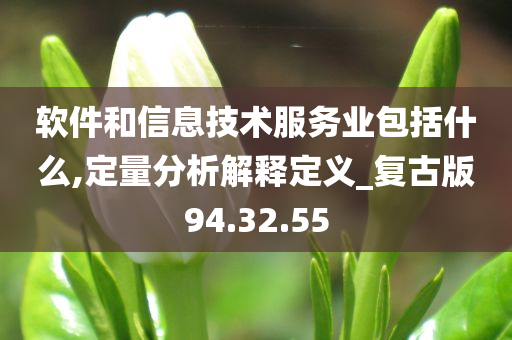 软件和信息技术服务业包括什么,定量分析解释定义_复古版94.32.55