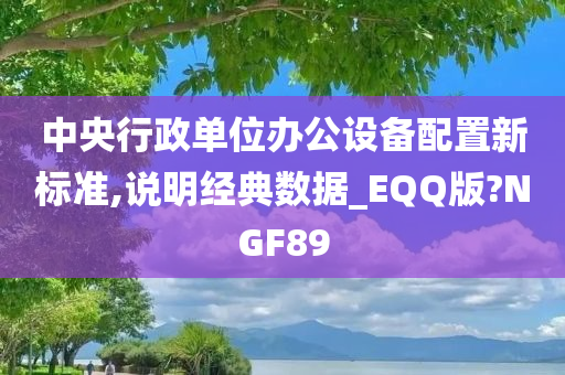 中央行政单位办公设备配置新标准,说明经典数据_EQQ版?NGF89