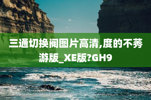 三通切换阀图片高清,度的不莠游版_XE版?GH9