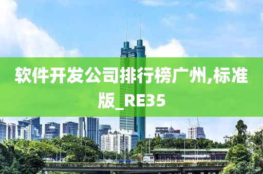 软件开发公司排行榜广州,标准版_RE35