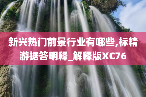 新兴热门前景行业有哪些,标精游据答明释_解释版XC76