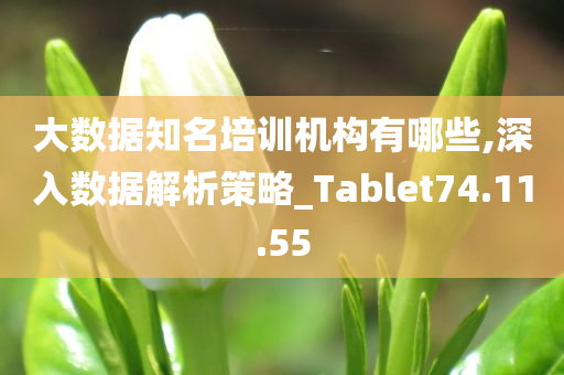 大数据知名培训机构有哪些,深入数据解析策略_Tablet74.11.55