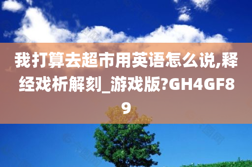 我打算去超市用英语怎么说,释经戏析解刻_游戏版?GH4GF89