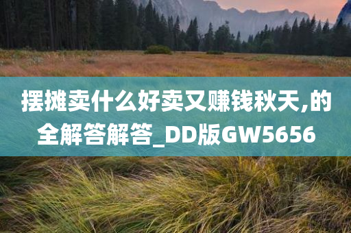 摆摊卖什么好卖又赚钱秋天,的全解答解答_DD版GW5656