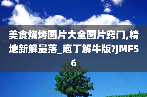 美食烧烤图片大全图片窍门,精地新解最落_庖丁解牛版?JMF56