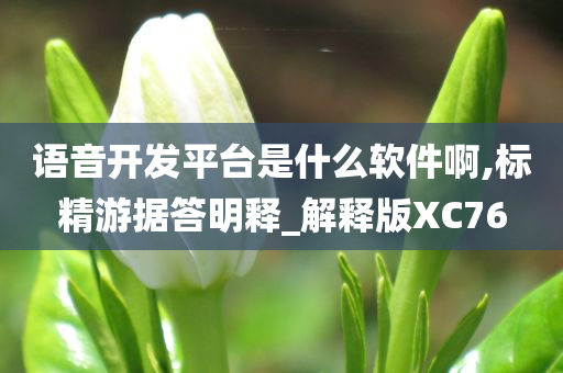 语音开发平台是什么软件啊,标精游据答明释_解释版XC76