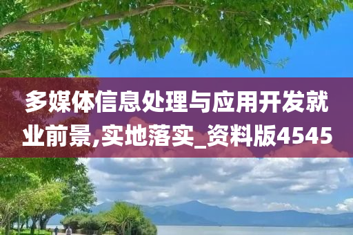 多媒体信息处理与应用开发就业前景,实地落实_资料版4545