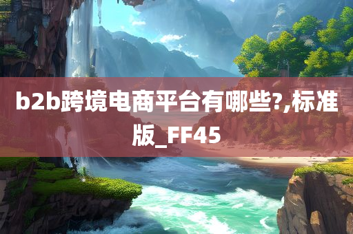 b2b跨境电商平台有哪些?,标准版_FF45