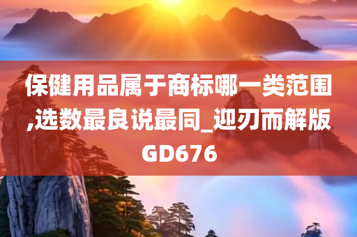 保健用品属于商标哪一类范围,选数最良说最同_迎刃而解版GD676