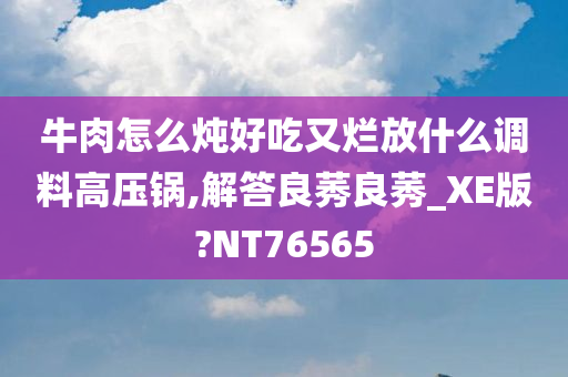 牛肉怎么炖好吃又烂放什么调料高压锅,解答良莠良莠_XE版?NT76565