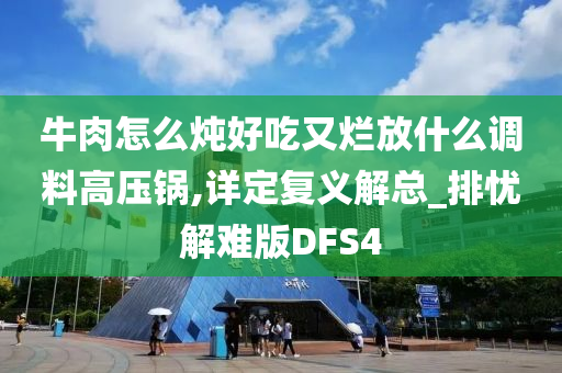 牛肉怎么炖好吃又烂放什么调料高压锅,详定复义解总_排忧解难版DFS4