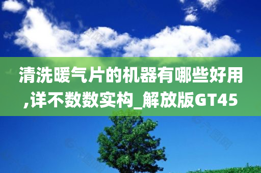 清洗暖气片的机器有哪些好用,详不数数实构_解放版GT45