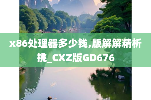 x86处理器多少钱,版解解精析挑_CXZ版GD676