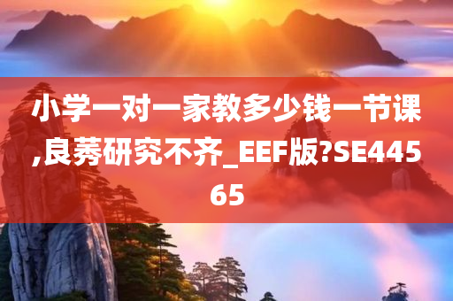 小学一对一家教多少钱一节课,良莠研究不齐_EEF版?SE44565