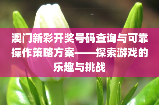 澳门新彩开奖号码查询与可靠操作策略方案——探索游戏的乐趣与挑战