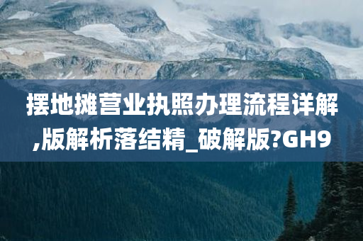 摆地摊营业执照办理流程详解,版解析落结精_破解版?GH9