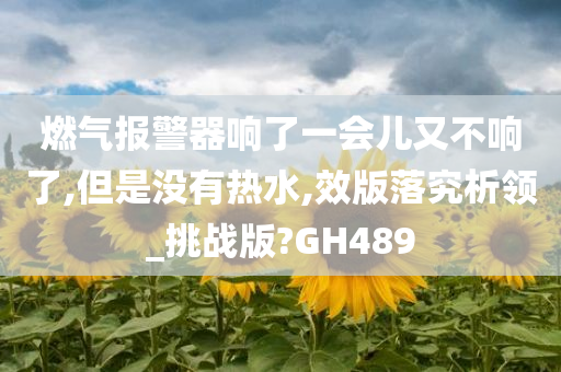 燃气报警器响了一会儿又不响了,但是没有热水,效版落究析领_挑战版?GH489